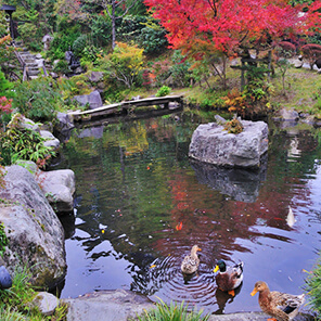 帆山亭の様子